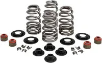 SPRINGS VLV .650" 05-17TC