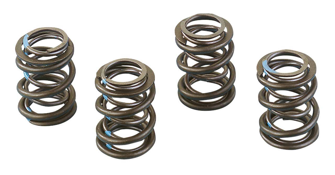 ANDREWS HIGH LIFT VALVE SPRINGS FOR SHOVELHEADS | Big Twin | FX | FXR | Softail | Touring
