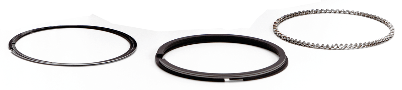 HASTINGS PISTON RING SETS | Sportster