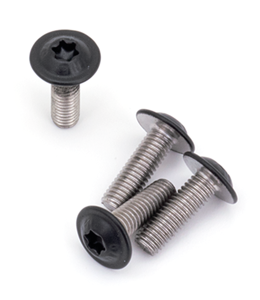 BLACK STAINLESS HEAT SHIELD SCREWS FOR SPORTSTER S | RH Sportster