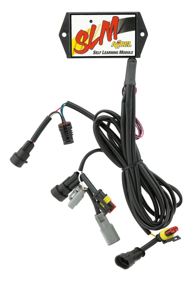 ACCEL SELF LEARNING FUEL INJECTION MODULE | Touring | Trike