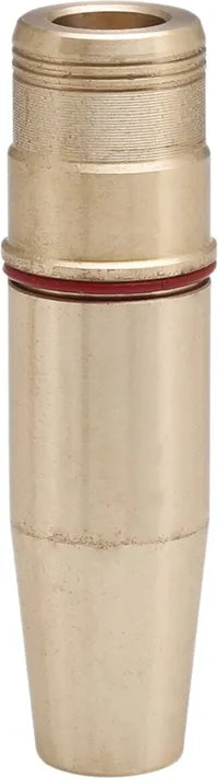 GUIDE VALVE C.I. 84-04 BT