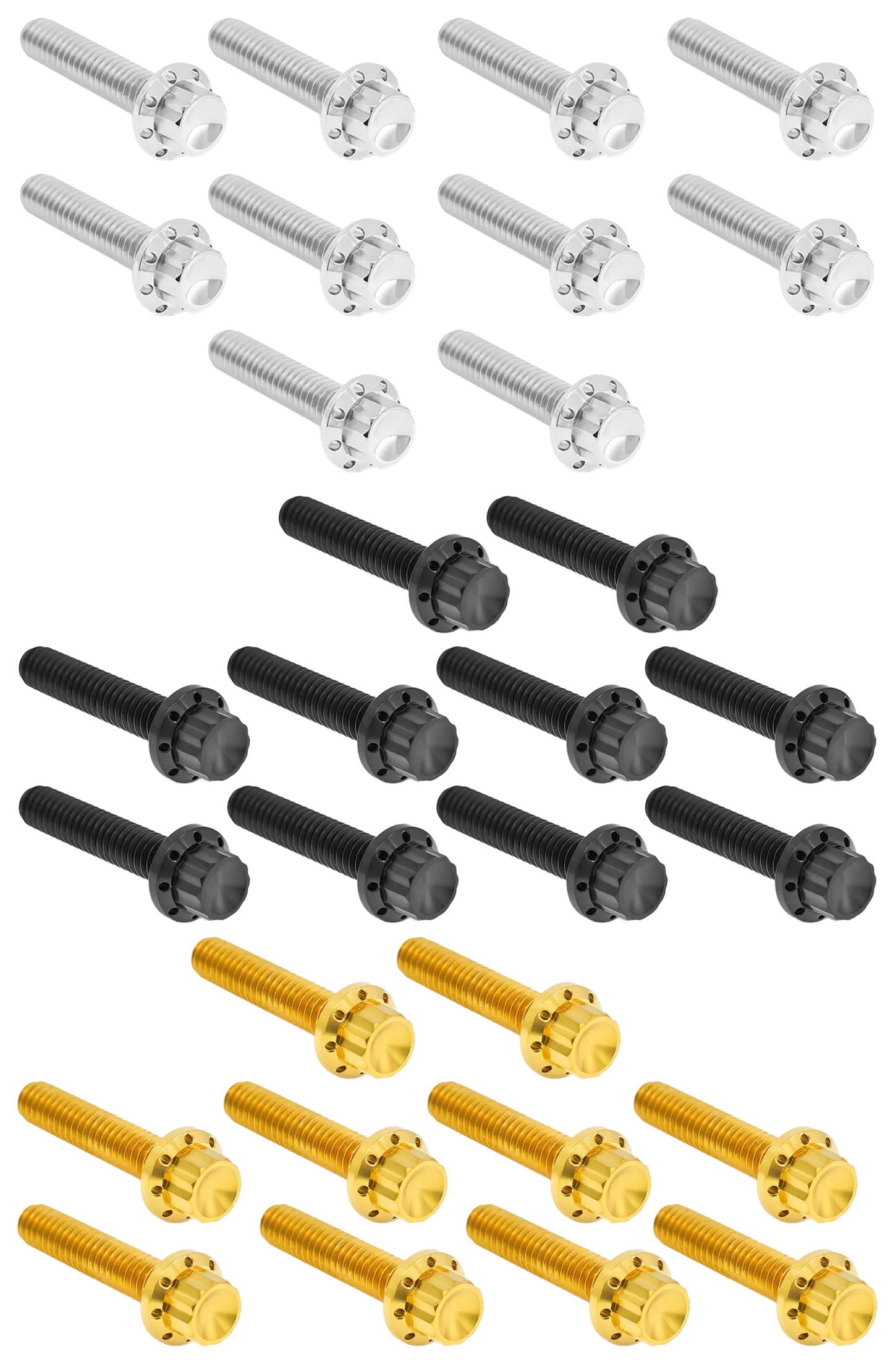 CAM & POINT COVER TITANIUM 12-POINT BOLT KITS