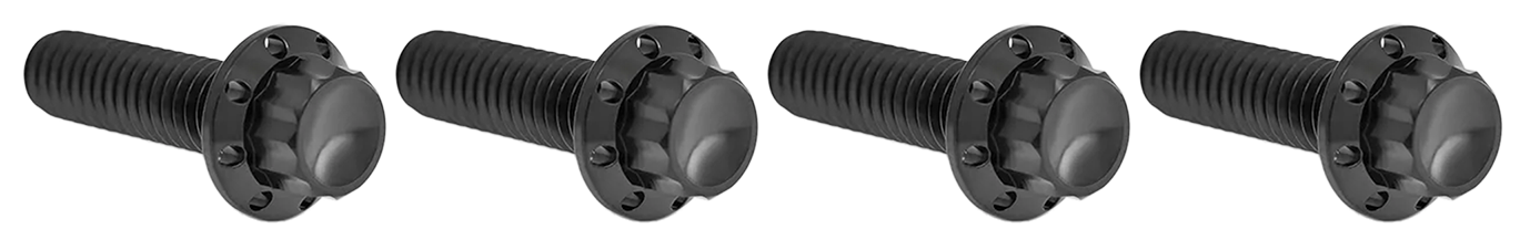 BRAKE AND PERCH TITANIUM 12-POINT BOLT KITS