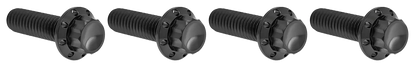BRAKE AND PERCH TITANIUM 12-POINT BOLT KITS