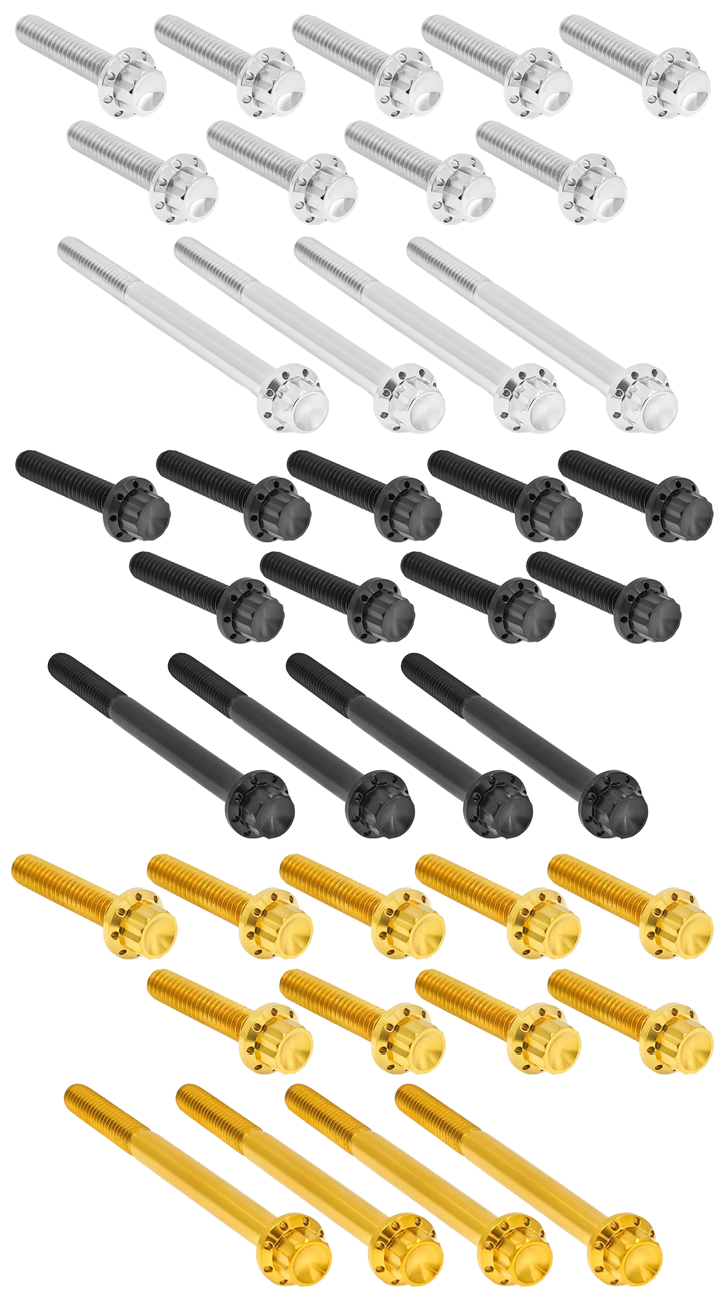 PRIMARY COVER TITANIUM 12-POINT BOLT KITS