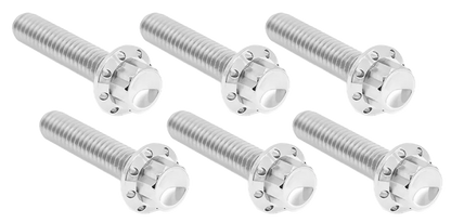 TRANSMISSION SIDE COVER & TRAP DOOR TITANIUM 12-POINT BOLT KITS | Dyna | Softail | Touring