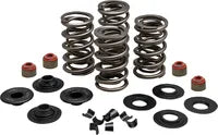 SPRINGS VLV .650" 05-17TC