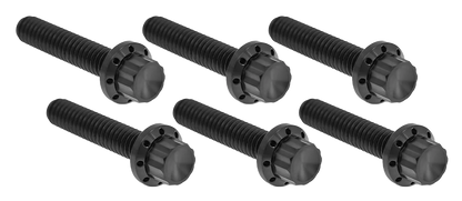 TRANSMISSION SIDE COVER & TRAP DOOR TITANIUM 12-POINT BOLT KITS | Dyna | Softail | Touring