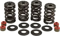 SPRINGS VLV .650" 05-17TC
