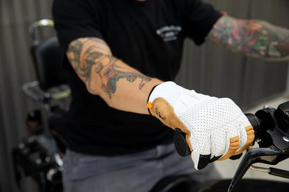 GLOVE BORREGO CEMENT