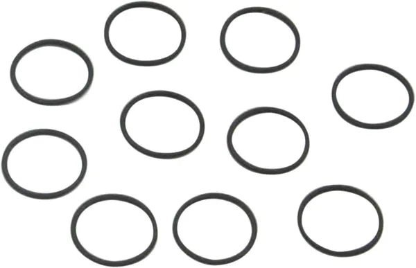 O-RING SET VITON 10PK
