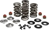SPRINGS VLV .650" 05-17TC