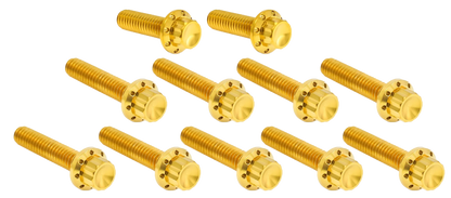 CAM & POINT COVER TITANIUM 12-POINT BOLT KITS