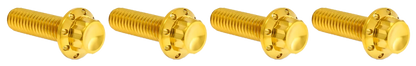 BRAKE AND PERCH TITANIUM 12-POINT BOLT KITS