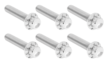 TRANSMISSION SIDE COVER & TRAP DOOR TITANIUM 12-POINT BOLT KITS | Dyna | Softail | Touring
