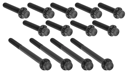 PRIMARY COVER TITANIUM 12-POINT BOLT KITS