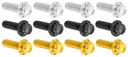 BRAKE AND PERCH TITANIUM 12-POINT BOLT KITS