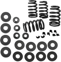 SHIM .030  VALVE SPRING