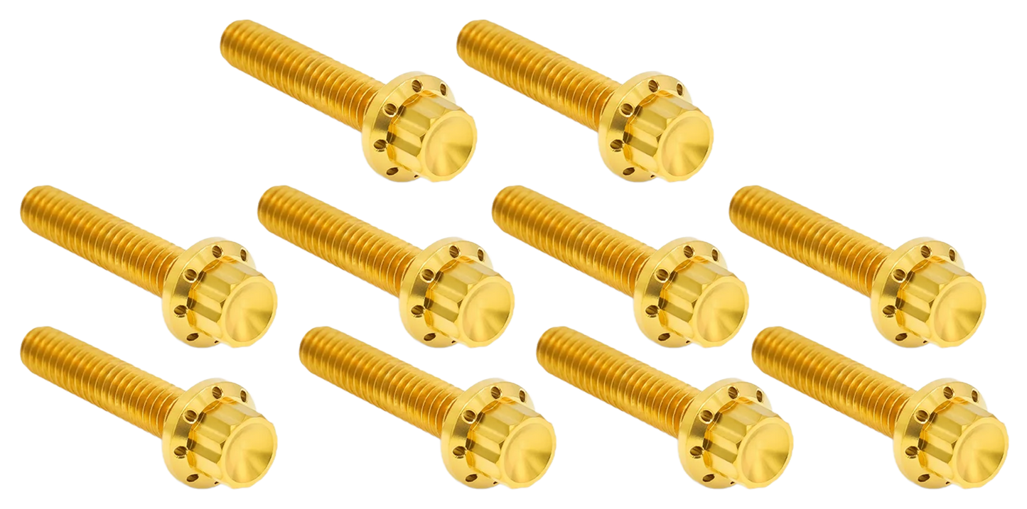 CAM & POINT COVER TITANIUM 12-POINT BOLT KITS