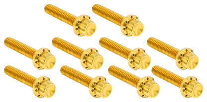 CAM & POINT COVER TITANIUM 12-POINT BOLT KITS