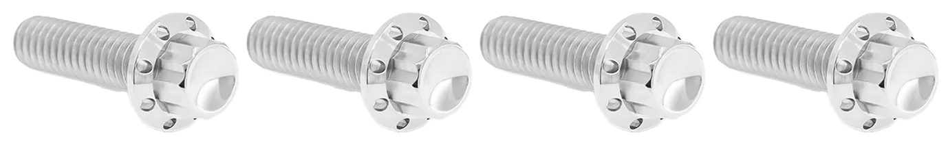 BRAKE AND PERCH TITANIUM 12-POINT BOLT KITS