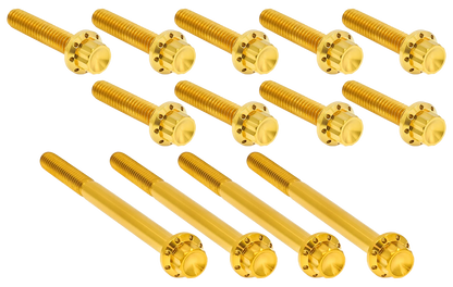 PRIMARY COVER TITANIUM 12-POINT BOLT KITS