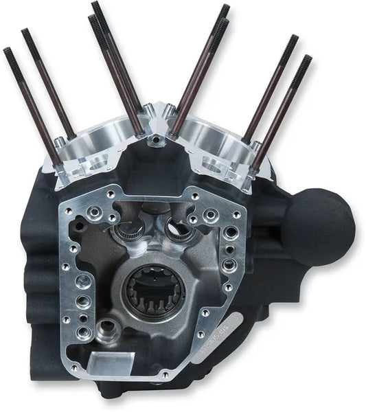 CRANKCASE BLK 4.125BR 06-
