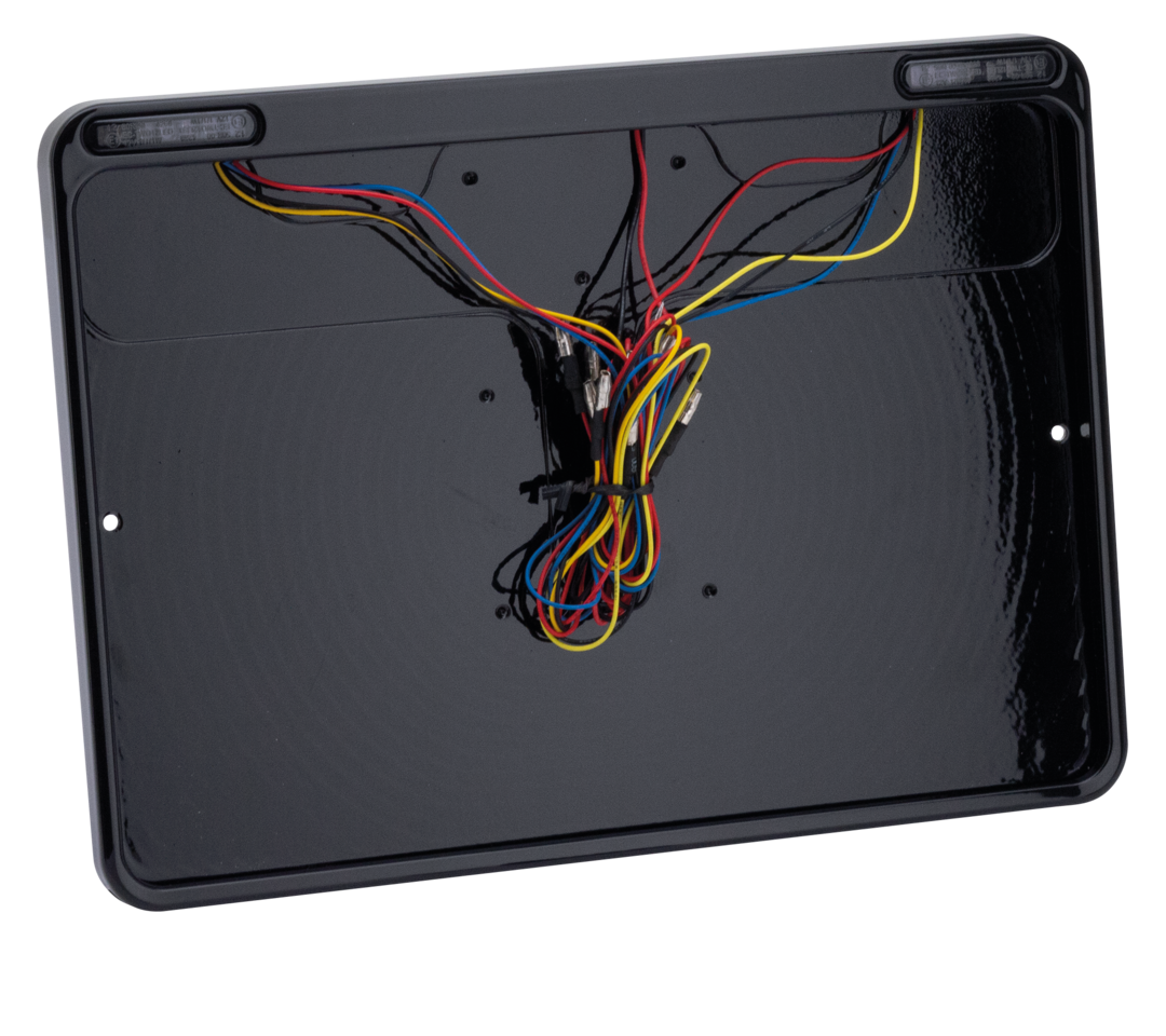 LICENSE PLATE FRAME WITH LIGHTS