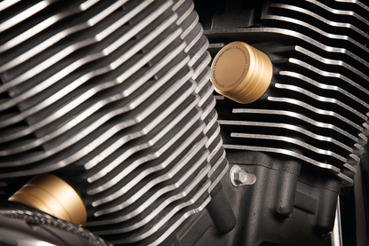 BLACK DUCK CAM ADJUSTER BOLT COVERS FOR VICTORY
