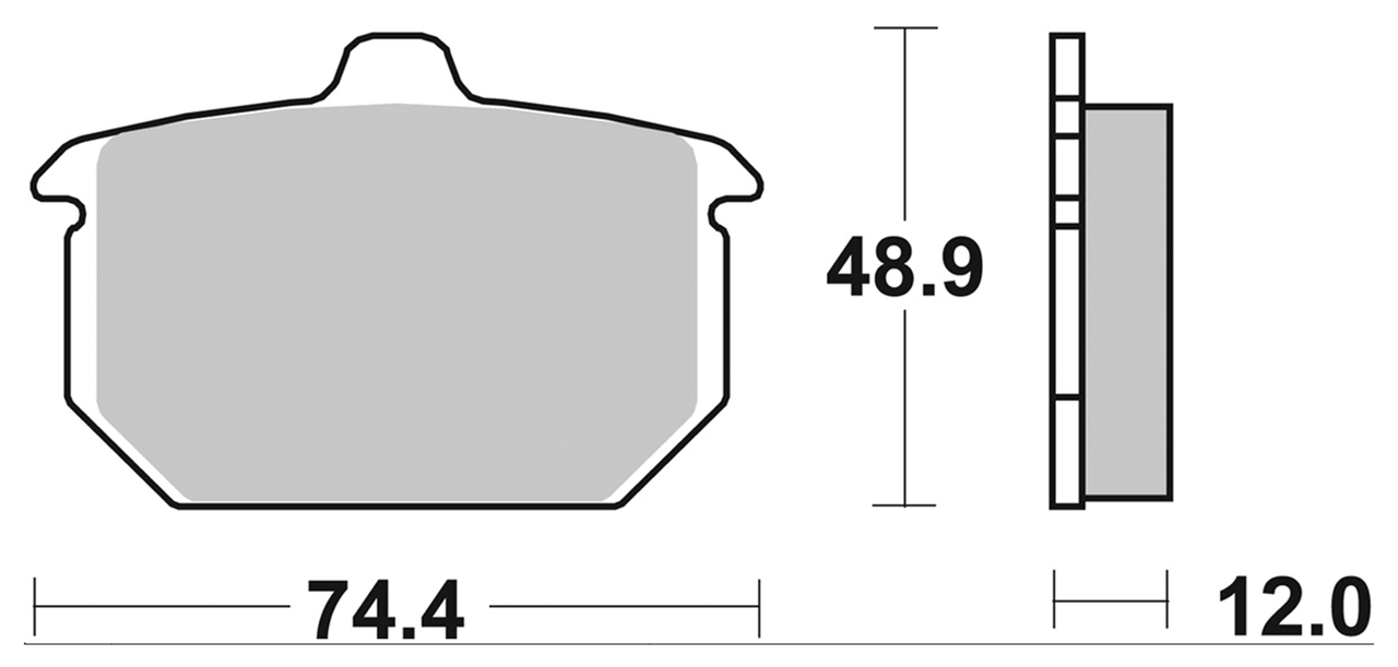 SBS REAR DISC BRAKE PADS | EV | FTR