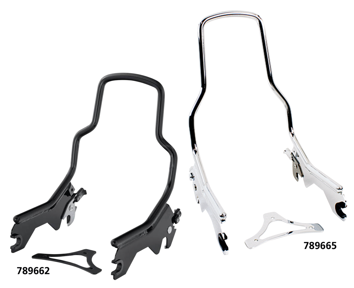DETACHABLE SISSY BARS FOR MILWAUKEE EIGHT SOFTAIL | Softail