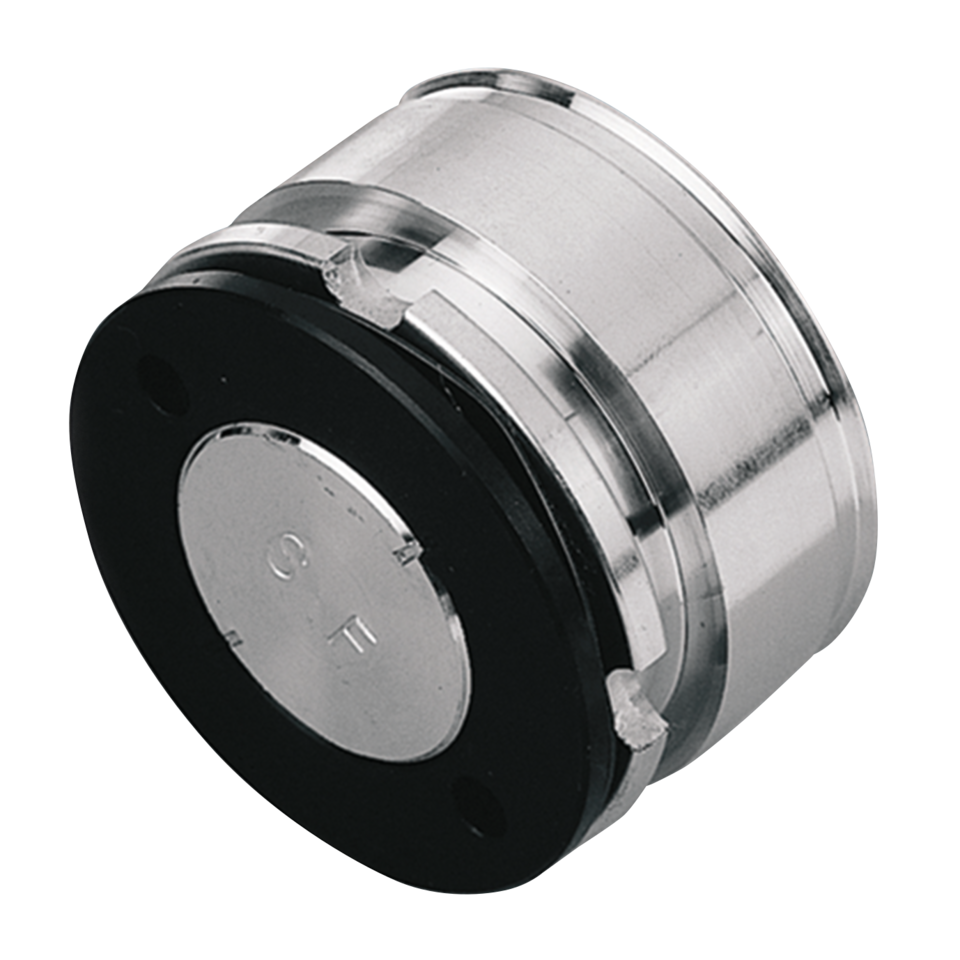 BRAKE CALIPER PISTONS | Big Twin | Touring