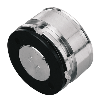 BRAKE CALIPER PISTONS | Big Twin | Touring