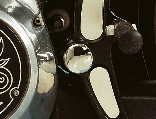 SWINGARM PIVOT BOLT COVERS FOR EVOLUTION SOFTAIL | Softail