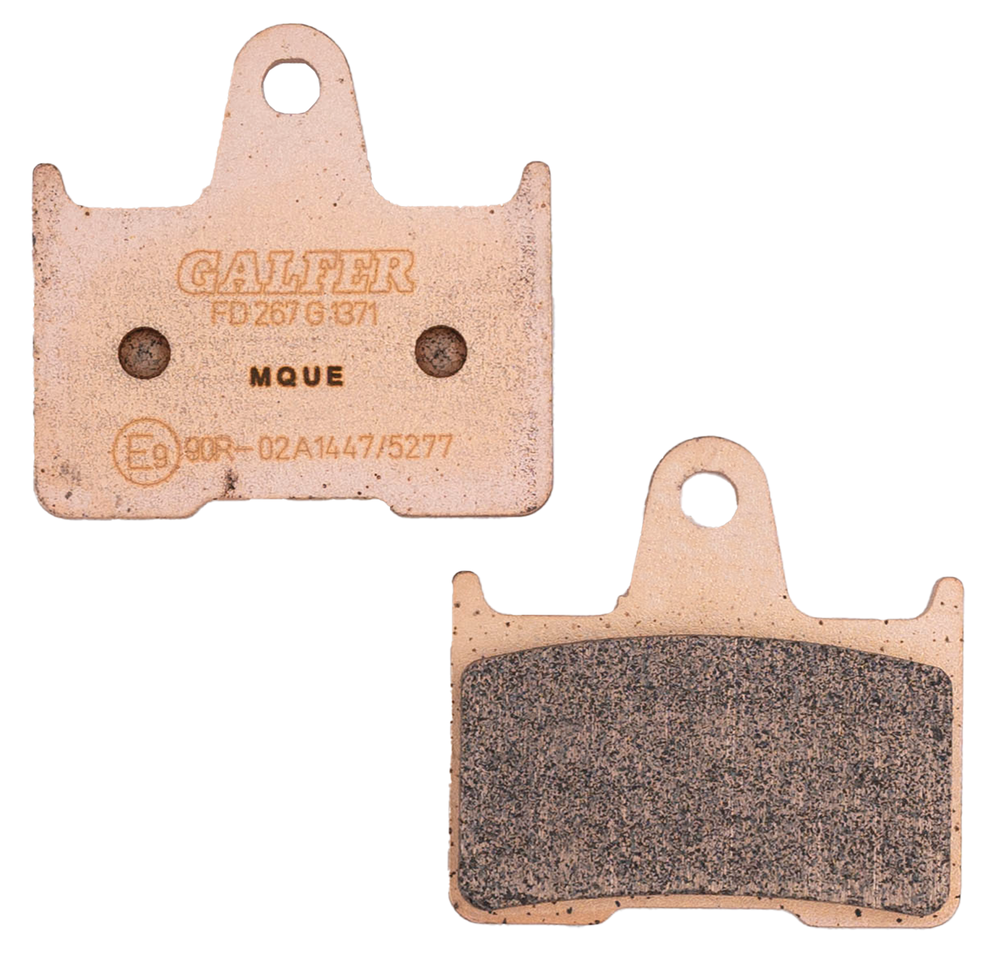 GALFER REAR DISC BRAKE PADS | EV | FTR