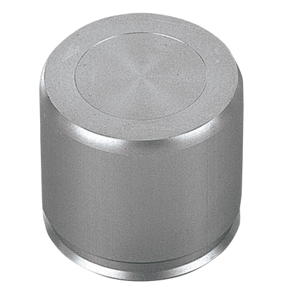 BRAKE CALIPER PISTONS | Big Twin | Touring