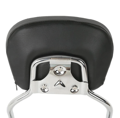 QUICK RELEASE SISSY BAR KITS FOR TRIKE | Trike