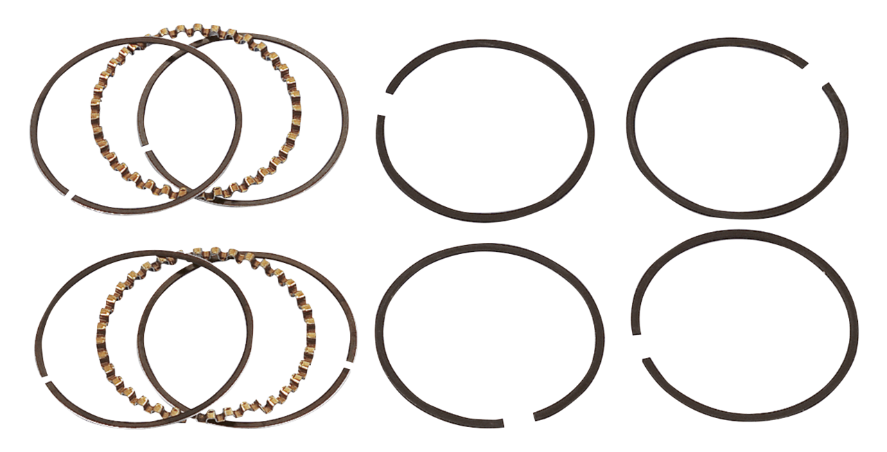 HASTINGS PISTON RING SETS | Sportster