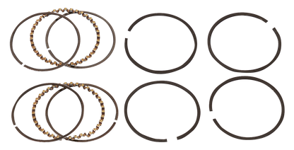 HASTINGS PISTON RING SETS | Sportster