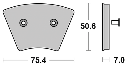 SBS FRONT DISC BRAKE PADS | Adventure Touring | Challenger | EV | FTR | Pursuit | RH Sportster | Touring