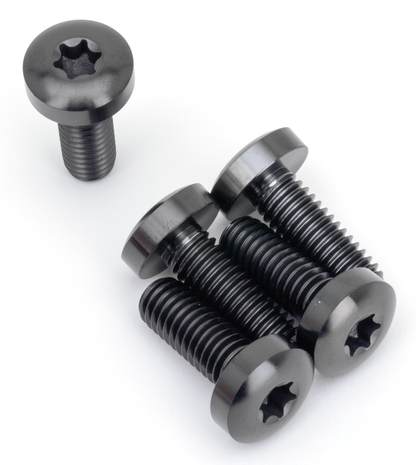 BRAKE ROTOR SCREWS & NUTS FOR 2015-2020 XG STREET - Brake Rotor FR Bolts Titanium Black

Kits with screws for all XG500, XG750 and XG750A. | Dyna  |  FXR  |  Softail  |  Sportster  |  Touring  |  Trike