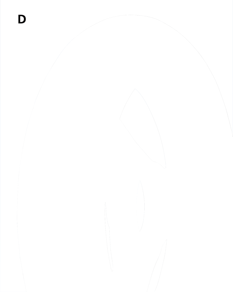 ROADRUNNER AM20 FRONT AND AM21 REAR TIRES | Big Twin | Dyna | Softail | Touring