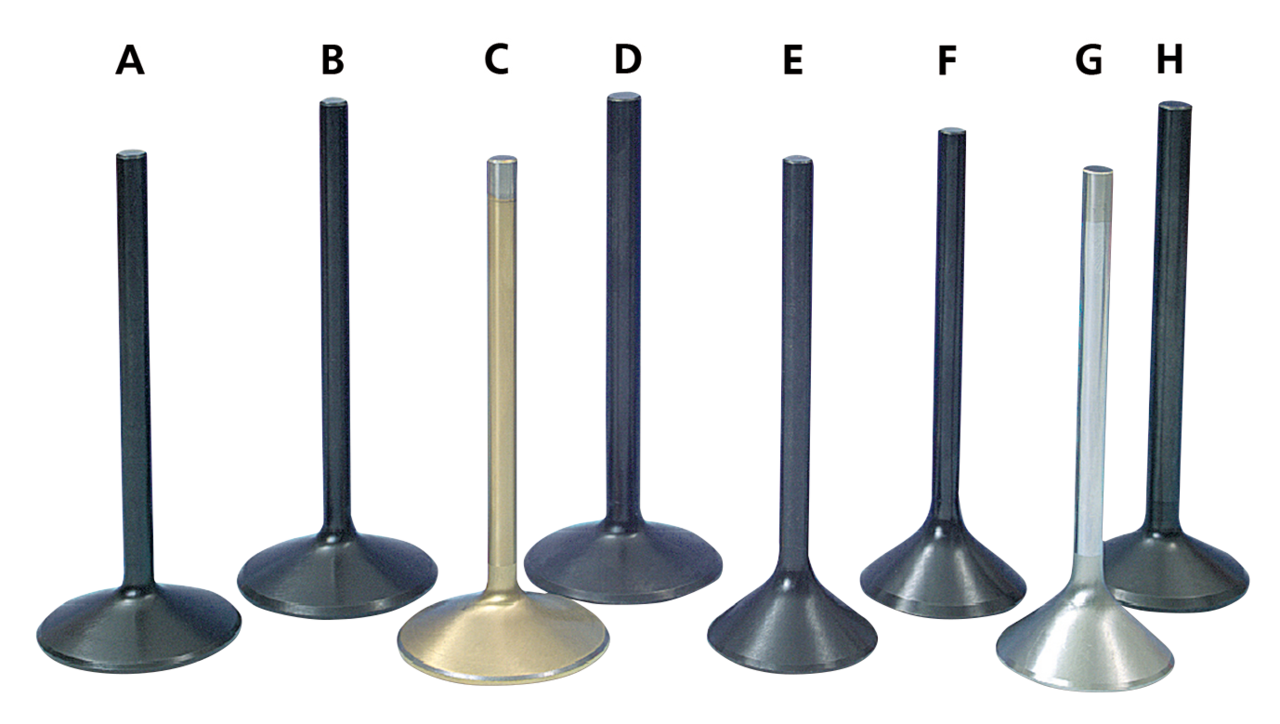 PRECISION MACHINING BLANK STEM OVERSIZE VALVES