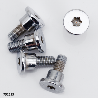 BRAKE ROTOR SCREWS FOR V-ROD | Dyna | Touring | V-Rod