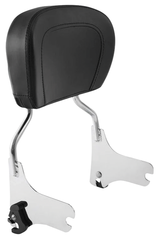 DETACHABLE PADDED SISSY BAR FOR TOURING | Touring