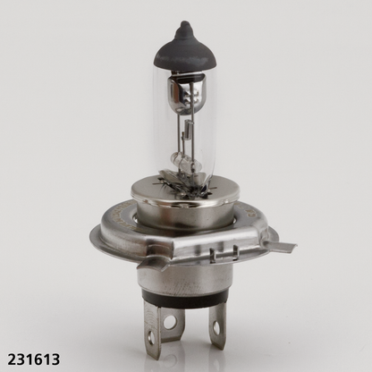H4 BULB FOR HALOGEN HEADLIGHT - Replacement bulb, 12 Volt 60/55 Watt H4, halogen, EC approved

Replacement bulbs for all H4 type light units. Resistant to vibration and shock. Specially designed and developed for motorcycle use.