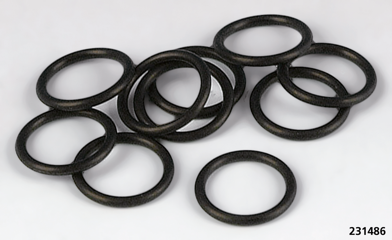 GASKET KITS, GASKETS, SEALS AND O-RINGS FOR V-ROD - JGI GASKETS, EXHAUST, SET OF 2

Complete gasket kits as well as all individual gaskets, O-ring and seals for V-Rod 2002-2017. Note: Sold to dealers in pack quantities as listed. | V-Rod