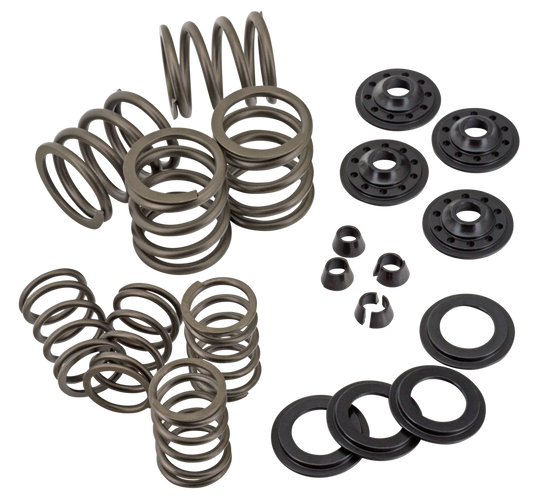 VALVE SPRING KIT FOR KNUCKLEHEAD | Big Twin