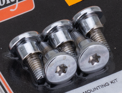 BRAKE ROTOR SCREWS FOR V-ROD | Dyna | Touring | V-Rod
